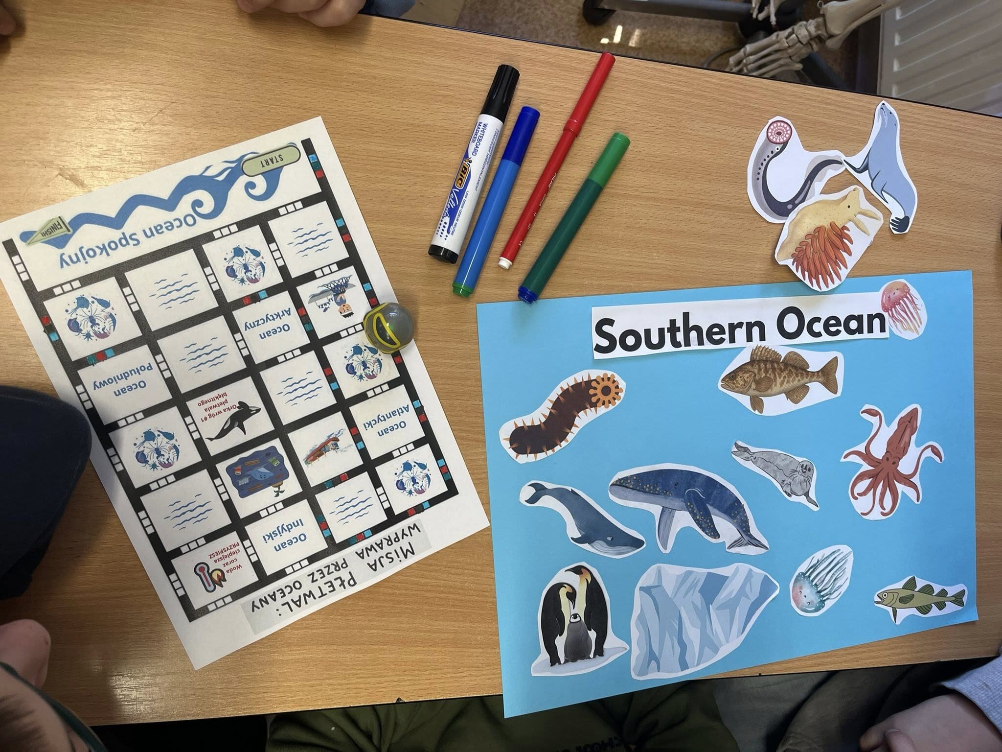 Edukacja według modelu STEAM